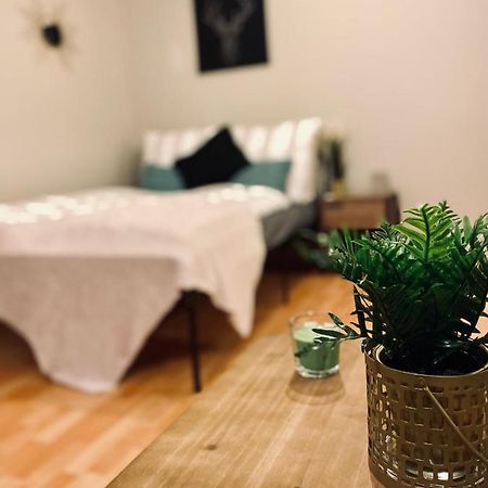 Saniertes Studio mit Balkon, WLAN, Netflix&Küche in City-Nähe Erfurt Exterior foto